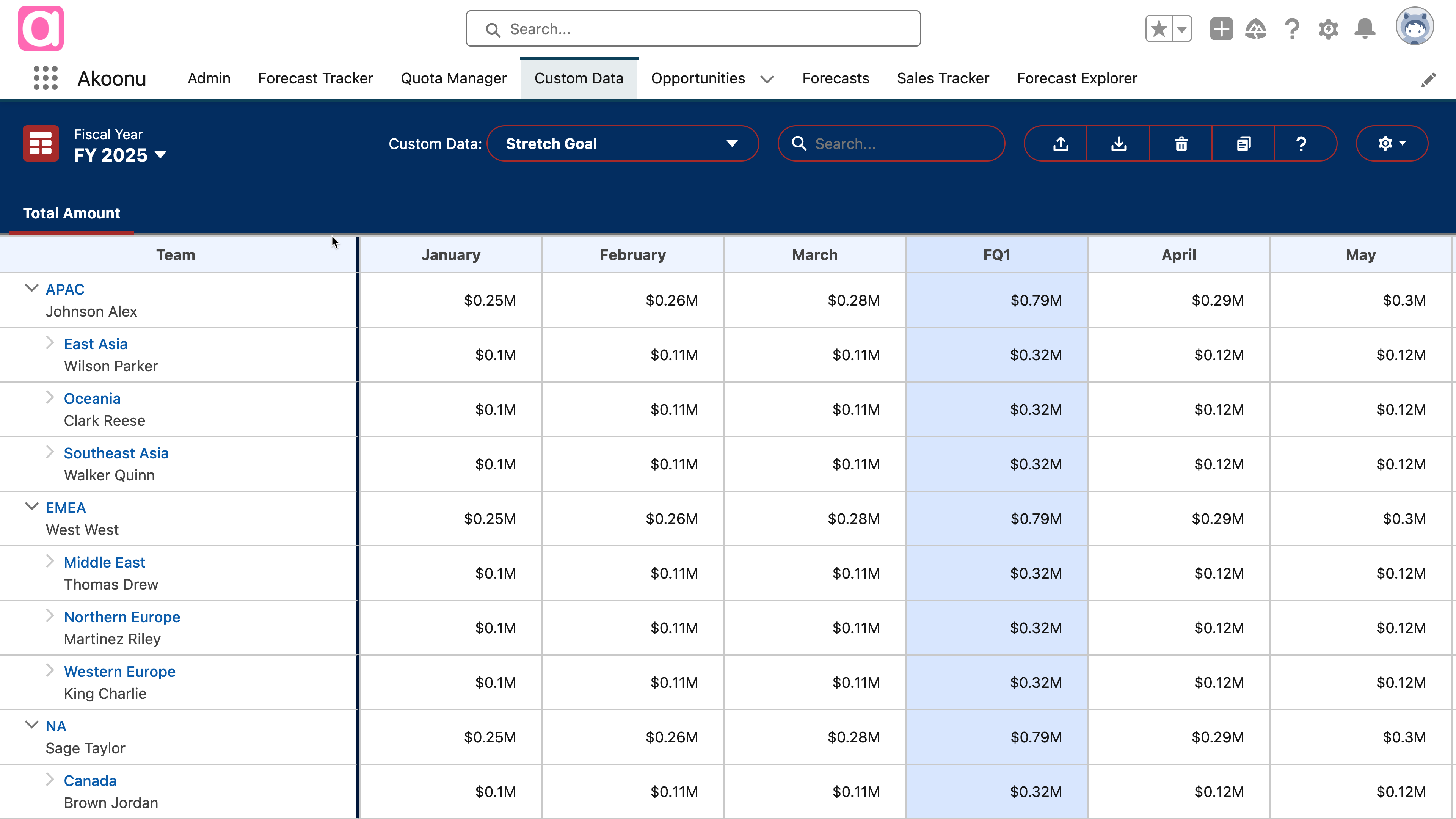 custom-data-manager